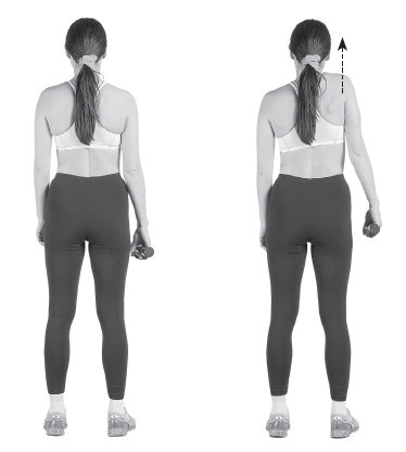 Ваш здоровый позвоночник Ваш здоровый позвоночник