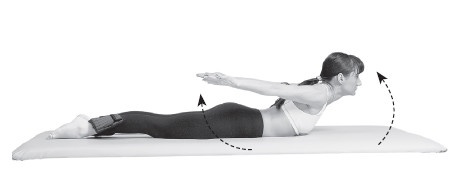 Ваш здоровый позвоночник Ваш здоровый позвоночник