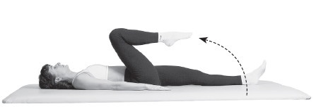 Ваш здоровый позвоночник Ваш здоровый позвоночник