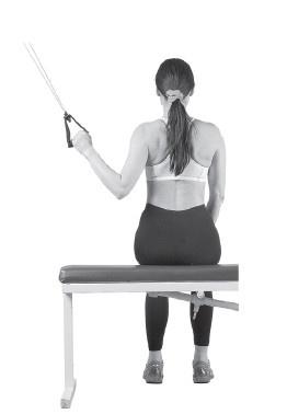 Ваш здоровый позвоночник Ваш здоровый позвоночник