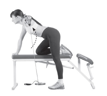 Ваш здоровый позвоночник Ваш здоровый позвоночник