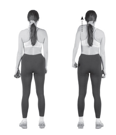 Ваш здоровый позвоночник Ваш здоровый позвоночник