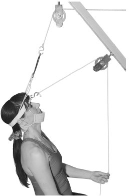 Жизнь без боли в шее Жизнь без боли в шее