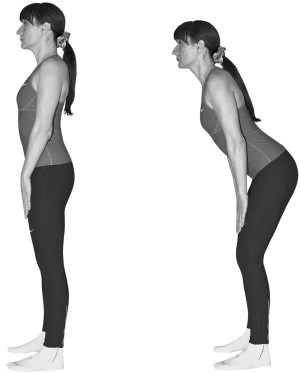 Лечим спину от остеохондроза Лечим спину от остеохондроза