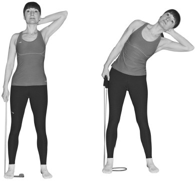 Лечим спину от остеохондроза Лечим спину от остеохондроза