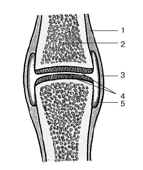 Миорелаксация от боли в коленях и руках Миорелаксация от боли в коленях и руках