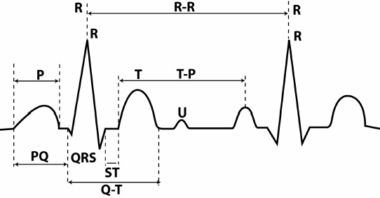 Детское сердечко Детское сердечко