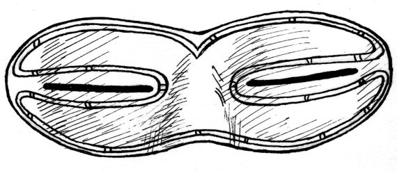 36 и 6 правил здоровых глаз