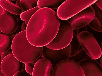 О чем говорят анализы. Секреты медицинских показателей - для пациентов О чем говорят анализы. Секреты медицинских показателей - для пациентов