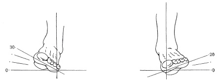 Атлас профессионального массажа