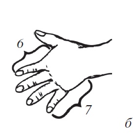 Энциклопедия массажа Энциклопедия массажа