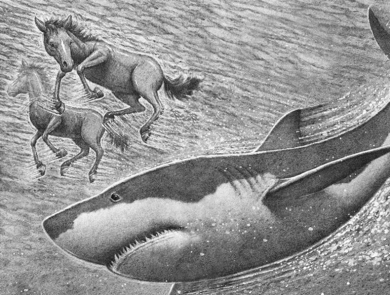 Побег Побег