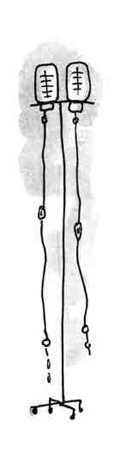 Машка как символ веры Машка как символ веры