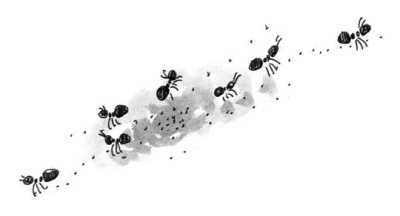 Машка как символ веры Машка как символ веры