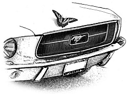 Волчьи песни Волчьи песни