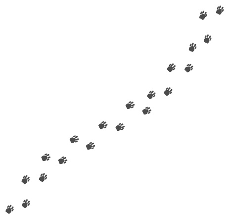 Подарок от кота Боба Подарок от кота Боба