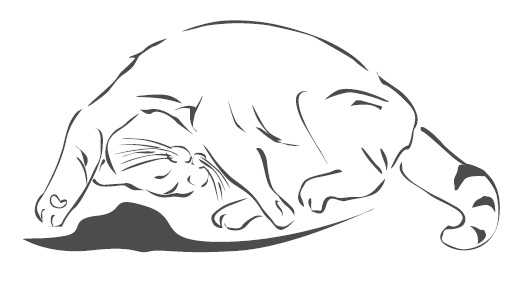 Подарок от кота Боба Подарок от кота Боба