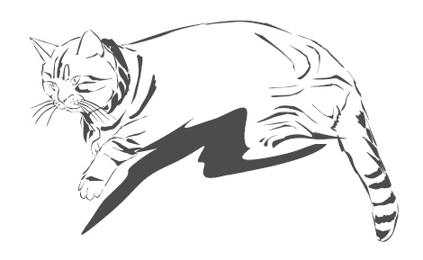 Подарок от кота Боба Подарок от кота Боба