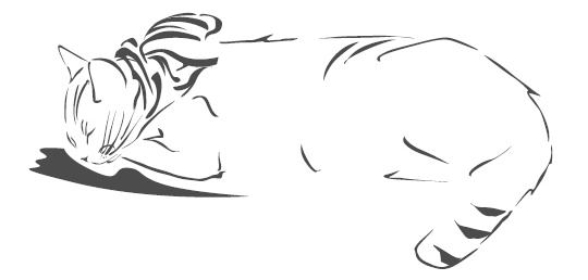 Подарок от кота Боба Подарок от кота Боба