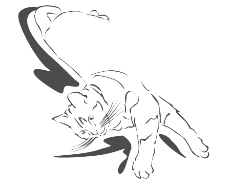 Подарок от кота Боба Подарок от кота Боба