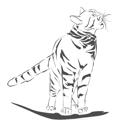 Подарок от кота Боба Подарок от кота Боба