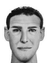 Мужские хитрости и женские уловки. Лучший справочник по распознаванию лжи! Книга-тренажер