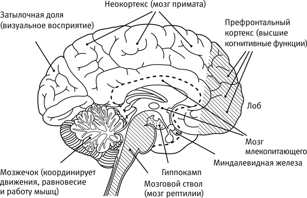 Легкий способ начать новую жизнь. Как избавиться от стресса, внутренних конфликтов и вредных привычек
