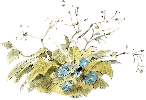 Щепкин и коварные девчонки Щепкин и коварные девчонки