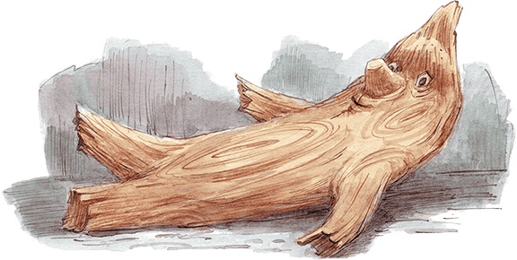 Щепкин и коварные девчонки Щепкин и коварные девчонки