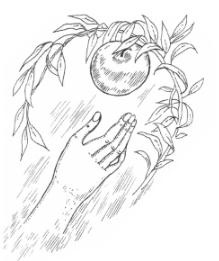 Древняя история секса в мифах и легендах Древняя история секса в мифах и легендах