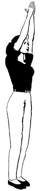 Школа гейши. Мудрость Востока для современной женщины