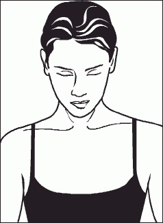 Настольная книга гейши Настольная книга гейши