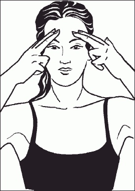 Настольная книга гейши Настольная книга гейши