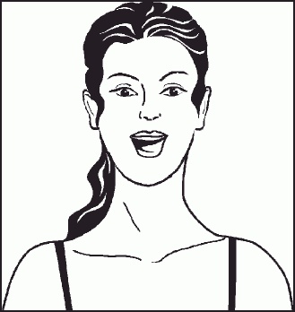 Настольная книга гейши Настольная книга гейши