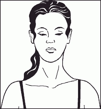 Настольная книга гейши Настольная книга гейши