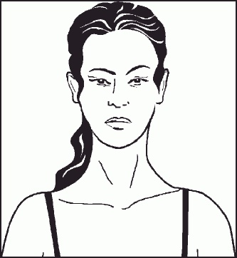 Настольная книга гейши Настольная книга гейши