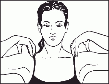 Настольная книга гейши Настольная книга гейши