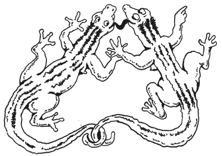 Странности животной сексуальности. Как они делают это...?