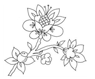 Стиль жизни - успех! Стиль жизни - успех!