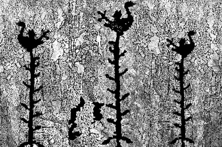 Финское солнце Финское солнце