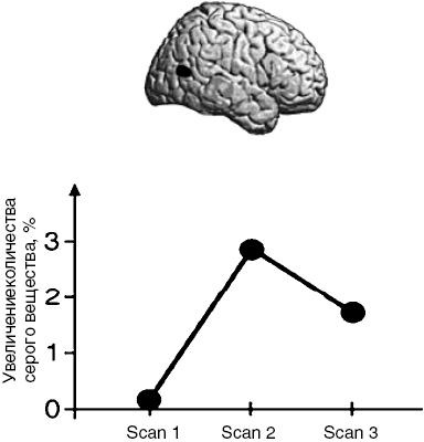 Антимозг. Цифровые технологии и мозг Антимозг. Цифровые технологии и мозг