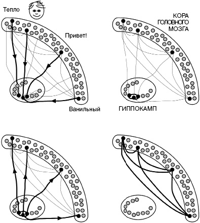 Антимозг. Цифровые технологии и мозг Антимозг. Цифровые технологии и мозг