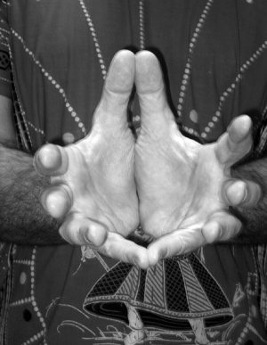 Йога дважды рожденных Йога дважды рожденных