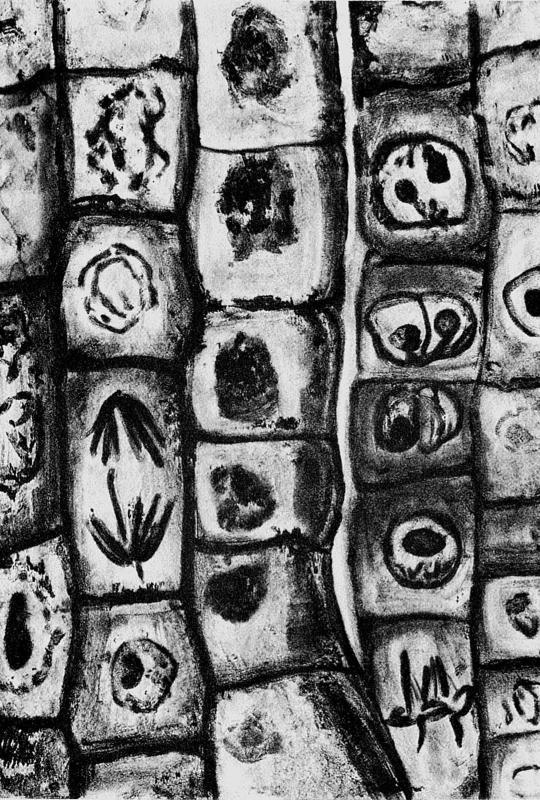 Слепой часовщик. Как эволюция доказывает отсутствие замысла во Вселенной