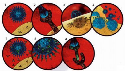 Магия реальности. Как мы узнаем истину