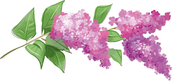 Расмус, Понтус и Растяпа Расмус, Понтус и Растяпа