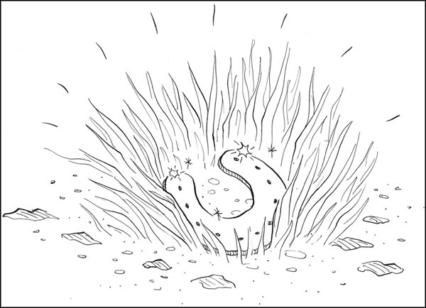 Волшебная встреча Волшебная встреча