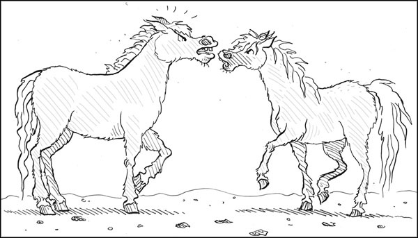 Волшебная встреча Волшебная встреча