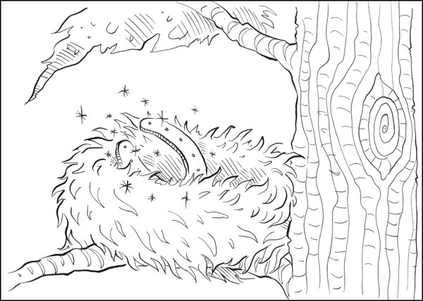 Друг из Облачного леса Друг из Облачного леса