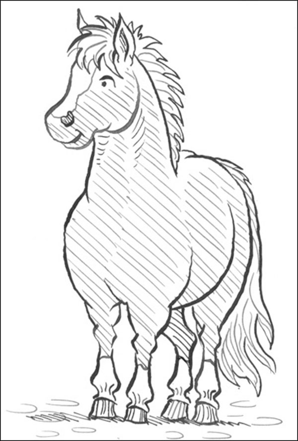 Секрет для пони Секрет для пони